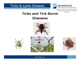 Ticks Lyme Disease Bureau Of Workers Compensation Pa