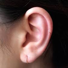 Titanium Cartilage Hoops Helix Piercings Titanium Etsy In 2020 Helix Piercing Cartilage Earrings Hoop How To Draw Ears