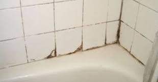 A Simple Tea Tree Oil Spray That Will Eliminate Mould Forever Bathroom Cleaning Solutions Mold In Bathroom Shower Mold