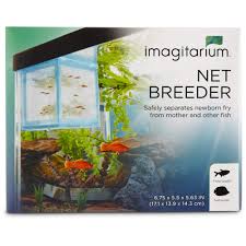 The beneficial mosquito fish can consume large quantities of insect larvae in your pond. Petco Brand Imagitarium Aquarium Net Breeder 6 75 X 5 5 X 5 63 Standard Buy Online In Bahamas At Bahamas Desertcart Com Productid 61010626