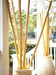 Shiny Decorative Floor Vases Bamboo Sticks Graphics Inspirational Decorative Floor Vases Bamboo Sticks For Lar Bamboo Decor Bamboo Sticks Decor Bamboo In Pots