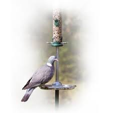 Aug 25, 2020 · this design would let small birds enter while doves stay away. How To Keep Pigeons Away From Bird Feeders