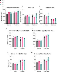 ApoE isoform induces minimal effects