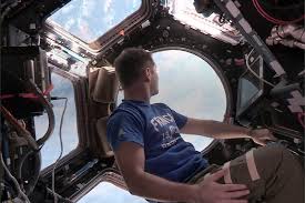 Voir plus d'idées sur le thème thomas pesquet, astronaute, station spatiale internationale. Dans La Peau De Thomas Pesquet Being An Astronaut Institut Francais
