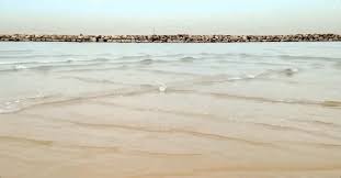 We did not find results for: This Is A Cross Sea You Do Not Want To Get Caught In One