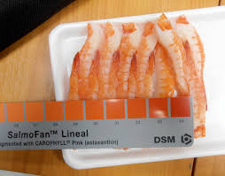 Summer 2016 Dni Group Sashimi Grade Seafood Authentic