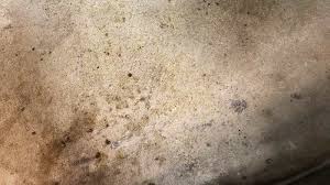 With over 100,000 kinds of mold around the world and around 1,000 of those right here in the united state, mold is practically all over. How To Get Rid Of And Prevent Mold Growth On Concrete Environix
