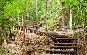 South east asia backpacker newsletter. Taman Negara Activity Jungle Trekking
