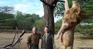 Algunos de los animales más extraños de nuestro planeta caminan en la cuerda floja de la extinción. Detener La Caza Legal E Ilegal De Leones En Peligro De Extincion En Todo El Mundo