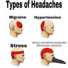 Surreal Memes Memes From A Future Unreality Headache Types Writing Humor Writing Memes