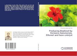 Image result for Vernonia galamensis