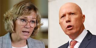 Stop being racist': Row erupts in parliament over Dutton's stance