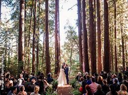 Forest Wedding Venues Redwood Forest Wedding Venues Northern California Forest Wedding Venue Wedding Locations California Northern California Wedding Venues