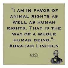  Abe Lincoln Animal Rights Quote Poster Zazzle Com Animal Rights Quotes Human Rights Quotes Quote Posters