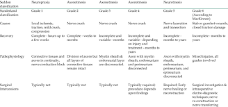 Neuropraxia in the seddon scheme. Seddon And Sunderland Classification Of Nerve Injuries Download Scientific Diagram
