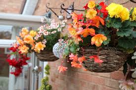 We did not find results for: 27 Best Plants To Use In Hanging Baskets Horticulture Co Uk
