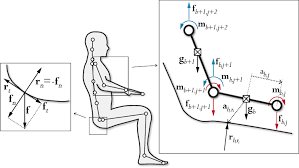 Learn vocabulary, terms, and more with flashcards, games, and other study tools. Computational Human Body Model Left Simplified Friction Model Right Download Scientific Diagram