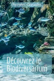Le Biodiversarium De Banyuls Sur Mer Made In Perpignan En 2020 Pyrenees Orientales Banyuls Biodiversite
