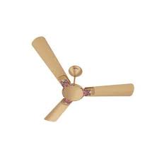We did not find results for: Havells 1200 Mm Enticer Art Aafreen 3 Blades Beige Ceiling Fan