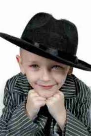 Did ASPCA discover certifying SAFER dog screening might be dangerous?