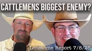 Hoarder of the Week Interview with MITCH REPPUCCI!