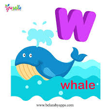 بطاقات تعليم الحروف الانجليزية للاطفال Pdf للطباعة Abc Flash Cards بالعربي نتعلم