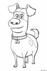 In 2016, illumination entertainment released an animated film the secret life of pets, and a sequel the secret life of pets in 2019. Pin On Svg Files