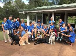 Camp bow wow talks about franchising on the sba's in touch with small business tv show. Camp Bow Wow Franchise For Sale Cost Fees All Details Requirements