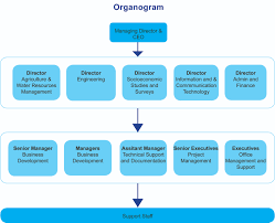 Check spelling or type a new query. Organizational Structure Creative Consultants International Ltd