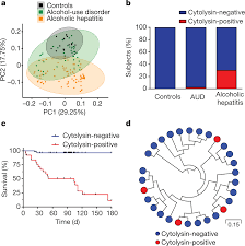 bacteriophage targeting of gut bacterium attenuates