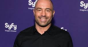 Joe rogan's wife is the ultimate catch — meet jessica rogan! Who Is Joe Rogan S Wife Meet Jessica Rogan