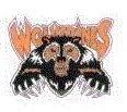 Wellsville Girls Varsity Soccer @ Bolivar-Richburg