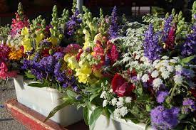 We did not find results for: Farmers Market 2021 Deerfield Il