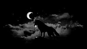 Pin On Wolves