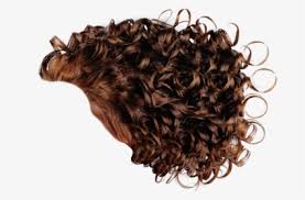 Check spelling or type a new query. Curly Hair Png Images Free Transparent Curly Hair Download Kindpng