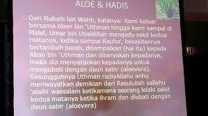 Yang dimanfaatkan dari daun lidah buaya sebagai masker aloe vera adalah gel lidah buaya, dimana yang menurut penelitian telah diakui memiliki banyak manfaat yang dapat membuat kulit dan rambut kita menjadi lebih sehat. Lidah Buaya Dalam Hadits Makanan Sunnah Rezqiss Facebook