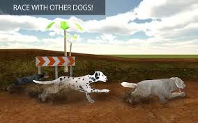 Greyhound lines 7.25.901 · by greyhound lines inc. Greyhound Dog Racing 3d Apk 1 1 Download For Android Download Greyhound Dog Racing 3d Apk Latest Version Apkfab Com