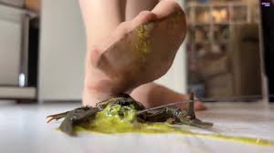 Intimate Crawdad Crush - Bare Nylons