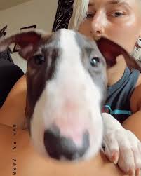 Devon(MET RHEA 5X) #Day1Mosher