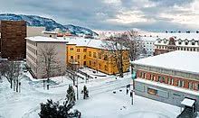 The museum has research and administrative responsibility over archaeology and biology in central norway. Ntnu University Museum Wikipedia