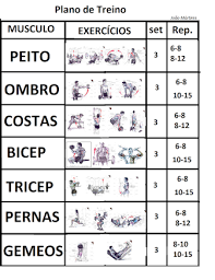 resultado de imagem para sugestao de treino para hipertrofia plano de treino de musculacao plano de treino exercicios de musculacao