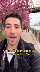 Roosevelt Cherry Blossom