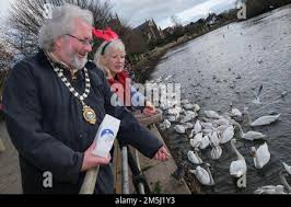 29th December 2022. The Swan Food Project held its Big Christmas Swan Feed 