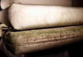 Maintaining sunbrella fabric is as easy as spot cleaning with soap and water. How To Clean Your Sunbrella Cushions Properly Cleaning Expert Net Cleaning Outdoor Cushions Sunbrella Cushions Funky Cushions