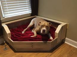 You have to build the bed before you can start your garden. Tap For Those Doggy Lover Products At Shire Fire 40 Off Or More Puppy Powers Sale Plus Free Shipping Wo Pallet Dog Beds Corner Dog Bed Diy Dog Bed