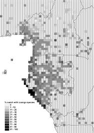 Image result for Thomandersia butayei