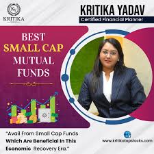 The Best Midcap And Smallcap Funds In 2022 » Capitalmind - Better Investing