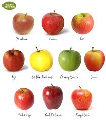 Pin On Fruits Berries Nuts