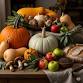Flavors of Fall at The Meat and Cheese Show — Wine Tastings | Wine Dinners | Wine Events in Tulsa, Oklahoma