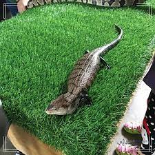 In previous public hearings, wind farms were received as a positive for many ocean city residents. A Day With Animals Farm In The City åŸŽã®å†œåœº I M Saimatkong